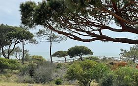 Praia Da Falesia Alfa Mar Albufeira