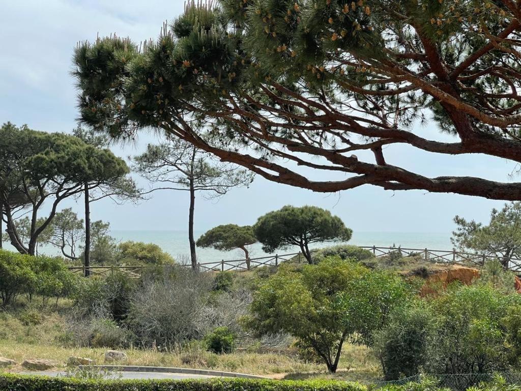 Praia Da Falesia Alfa Mar Albufeira Olhos de Agua  Exterior foto