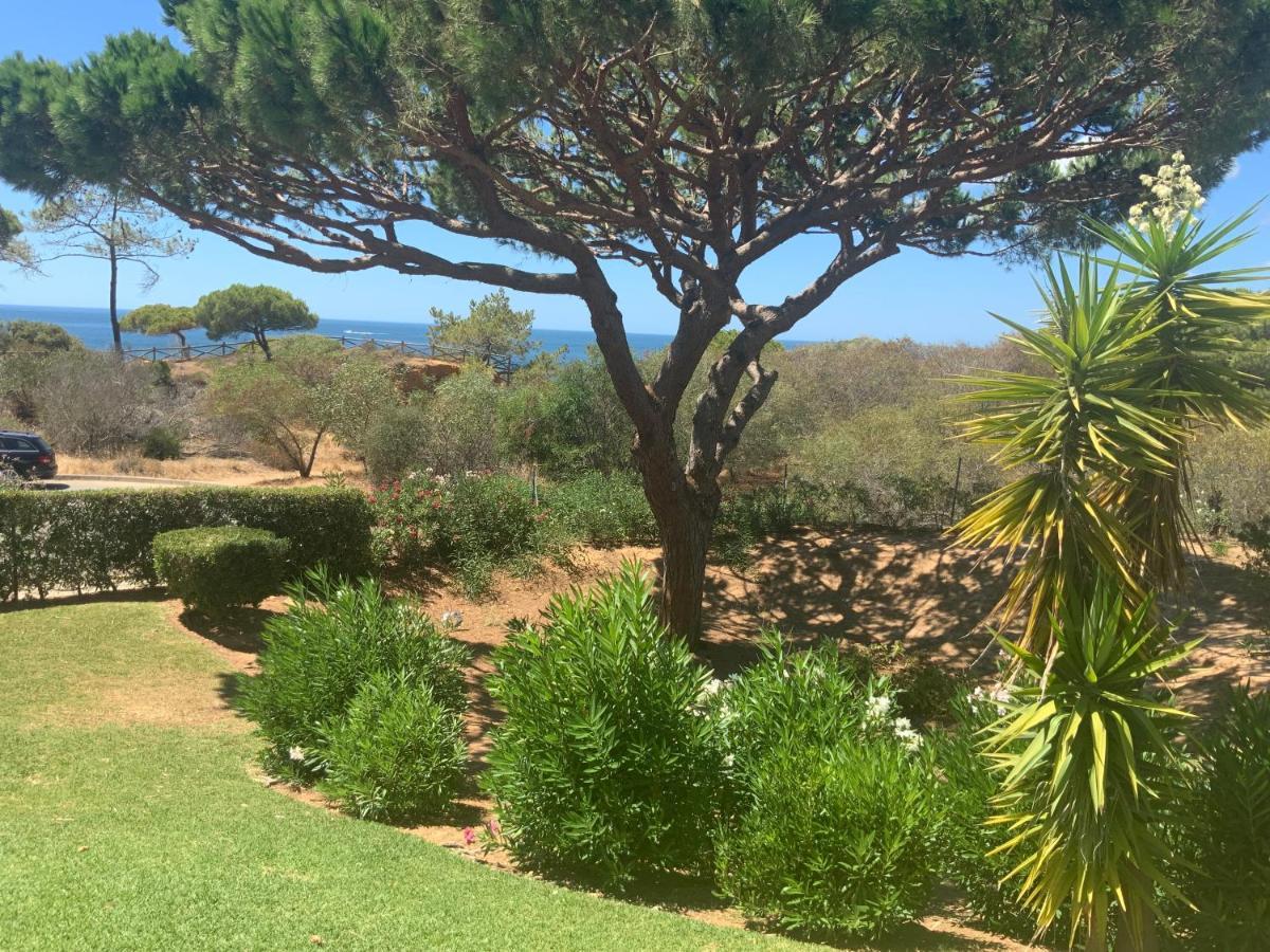 Praia Da Falesia Alfa Mar Albufeira Olhos de Agua  Exterior foto